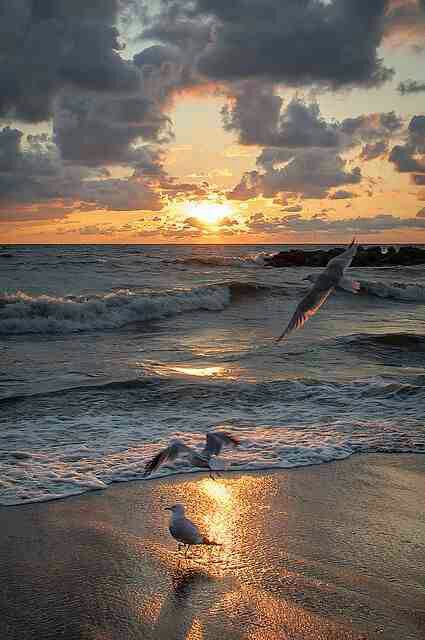 a6cc89726f81d88614afb7ca78c781ca